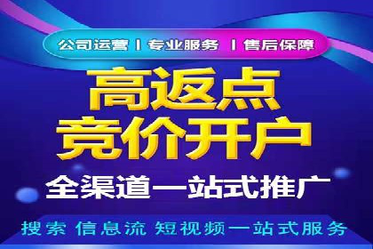 成功企业案例：竞价SEM托管助力业绩腾飞